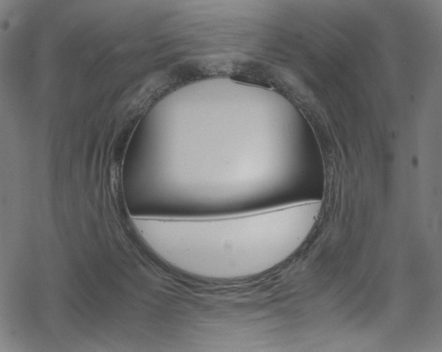 X0000069390125200605120953