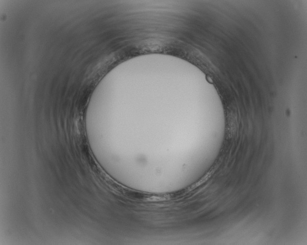 X0000069390126200605120953