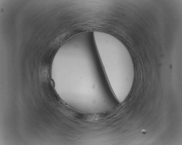 X0000069390127200605120953