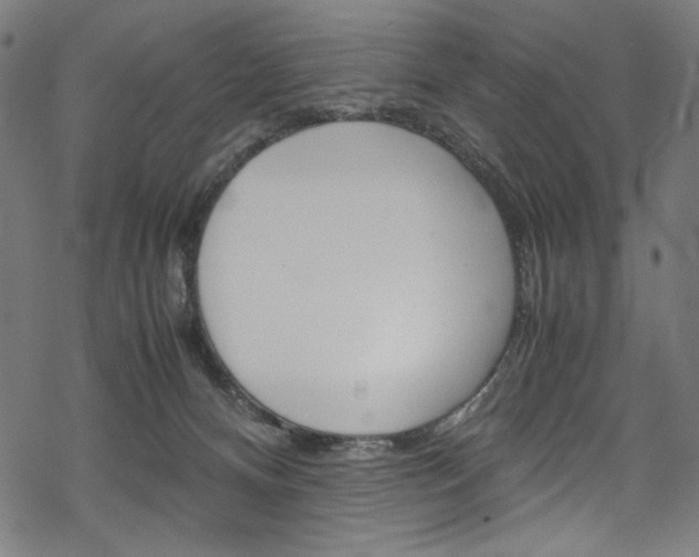 X0000069390128200605120953