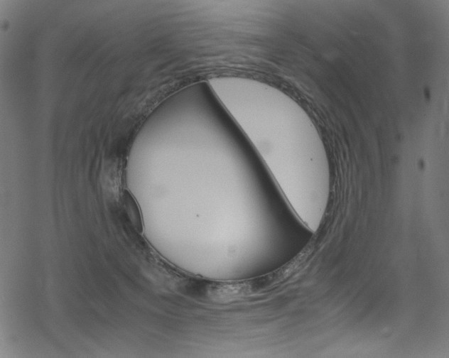 X0000069390129200605120953