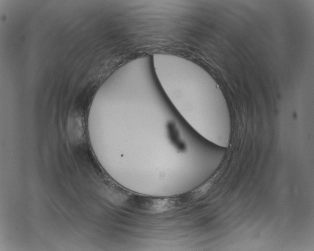 X0000069390130200605120953