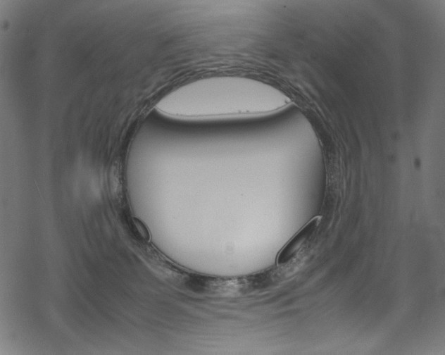 X0000069390131200605120953