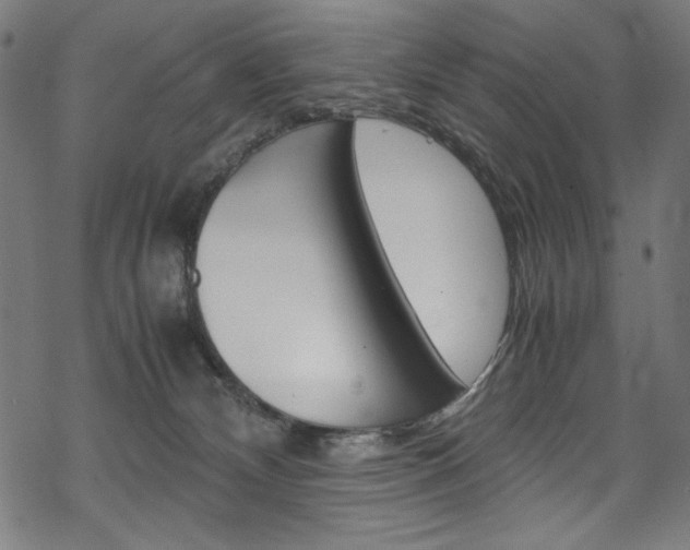 X0000069390132200605120953