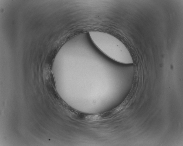 X0000069390133200605120953