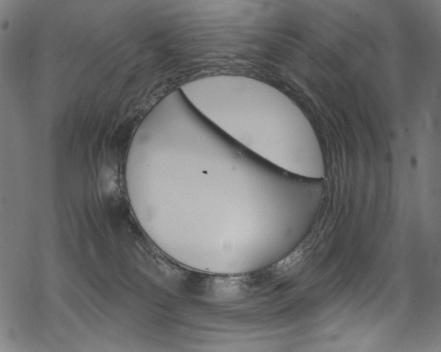 X0000069390134200605120953