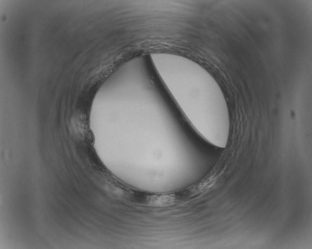 X0000069390135200605120953