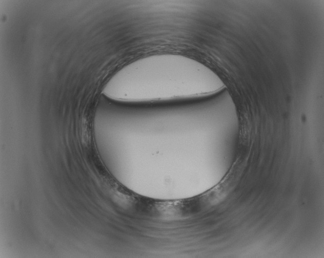 X0000069390136200605120953