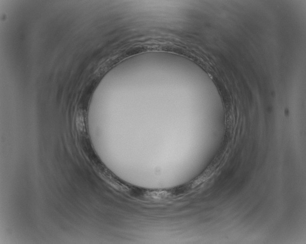 X0000069390137200605120953