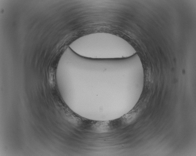 X0000069390138200605120953