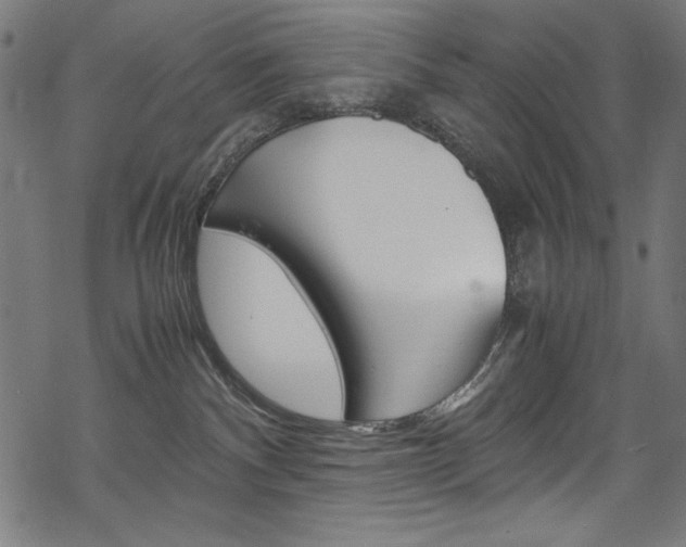 X0000069390140200605120953