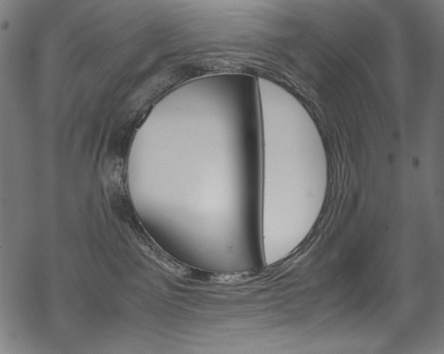 X0000069390141200605120953