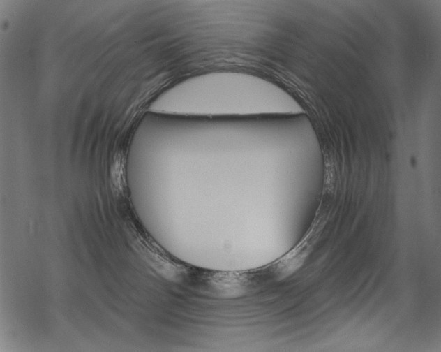 X0000069390142200605120953