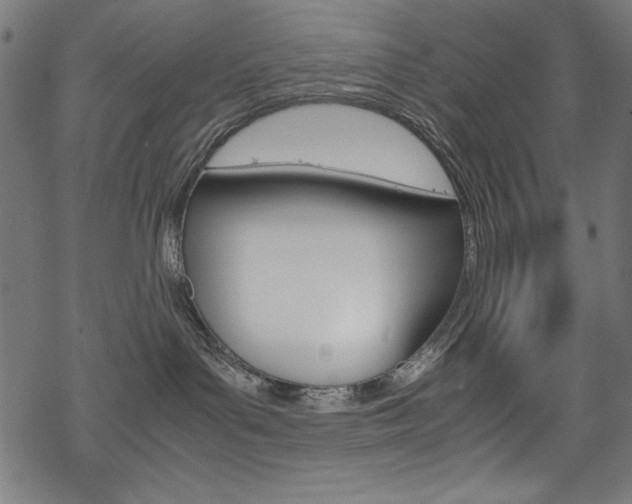 X0000069390143200605120953