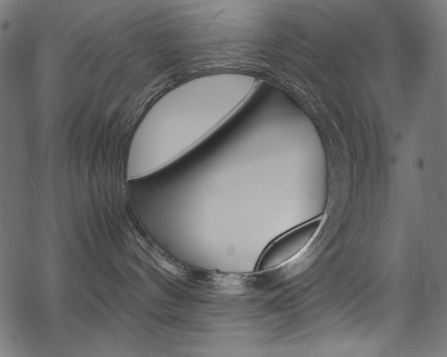 X0000069390144200605120953