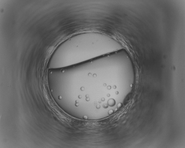 X0000069390145200605120952