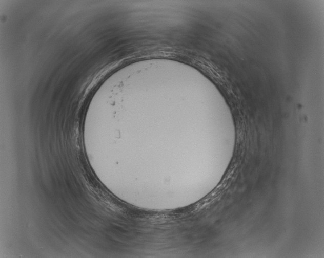 X0000069390146200605120952