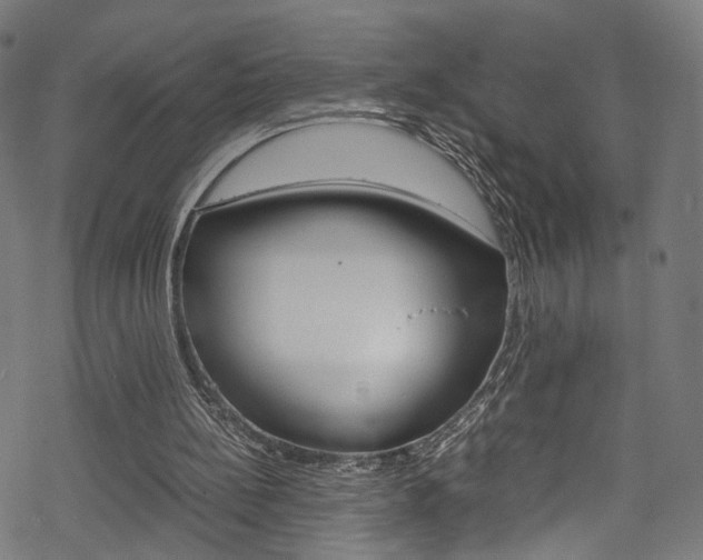 X0000069390148200605120952