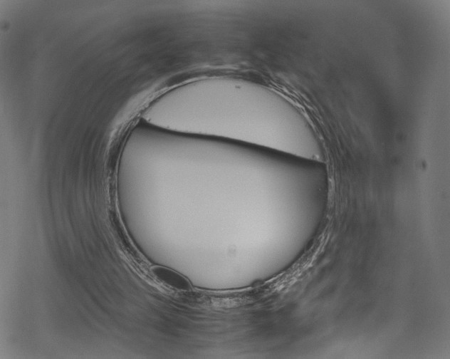 X0000069390149200605120952