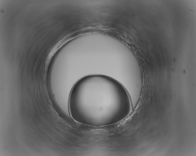 X0000069390150200605120952