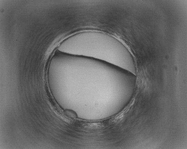 X0000069390151200605120952