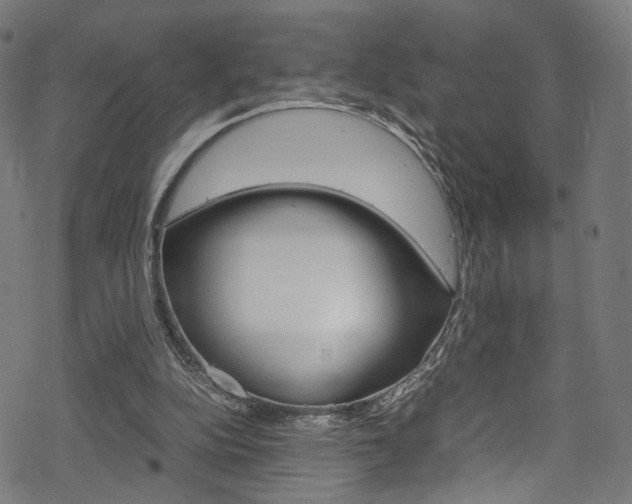 X0000069390152200605120952