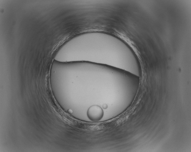 X0000069390153200605120952