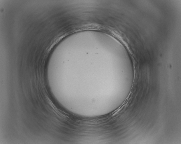 X0000069390154200605120952