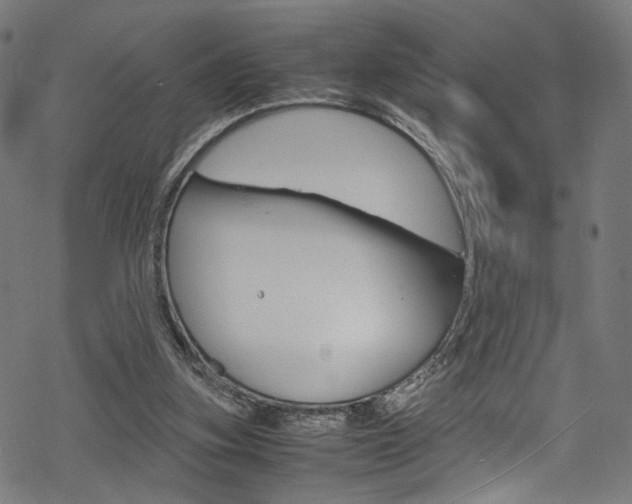 X0000069390155200605120952