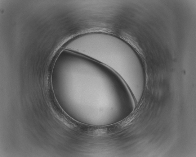 X0000069390156200605120952