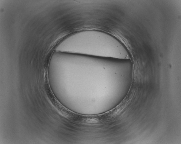 X0000069390157200605120952