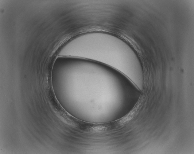 X0000069390158200605120952