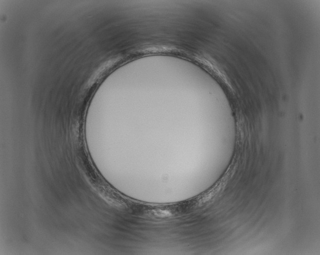 X0000069390159200605120952