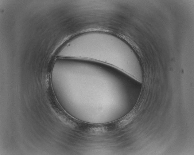 X0000069390160200605120952