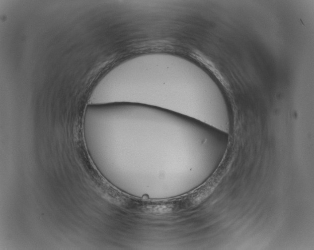 X0000069390161200605120952