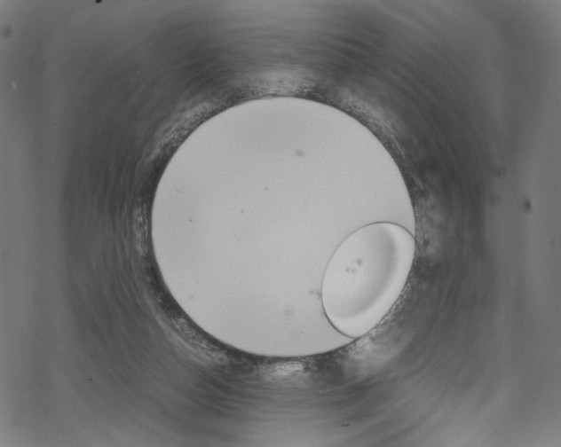 X0000069390162200605120952