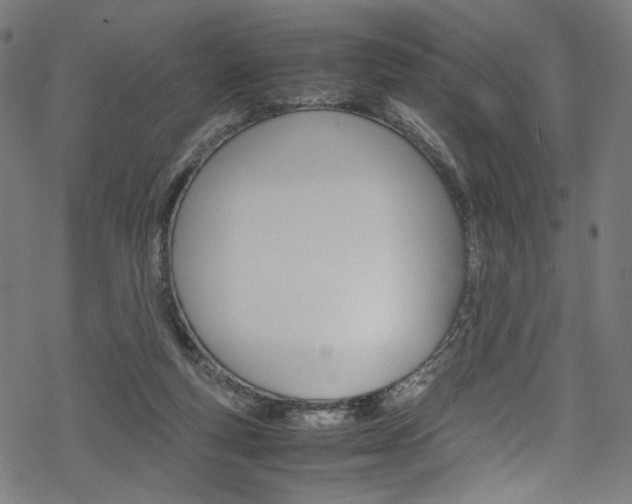 X0000069390163200605120952