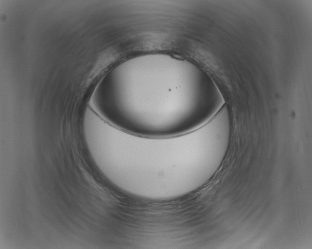 X0000069390164200605120953