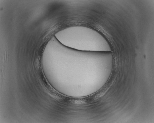 X0000069390165200605120953