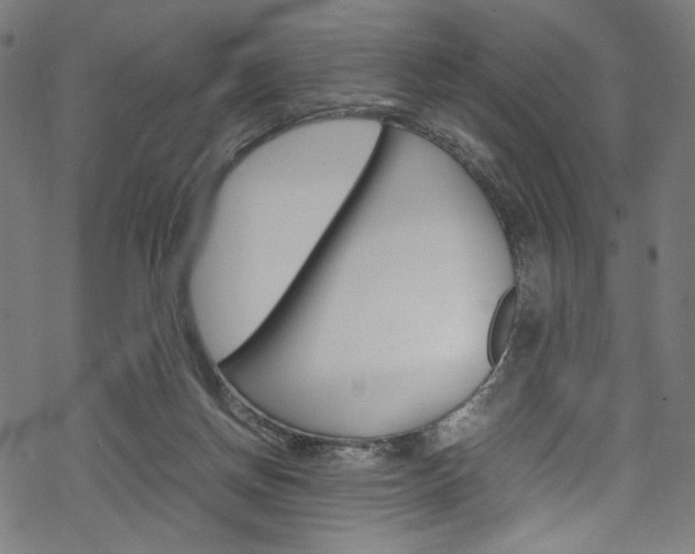 X0000069390166200605120953