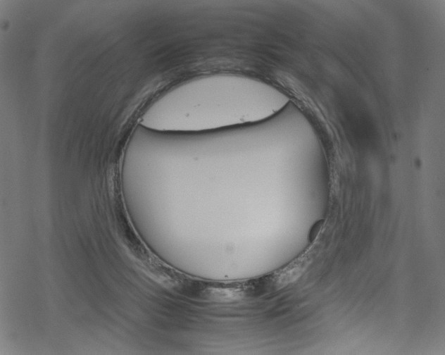 X0000069390167200605120953