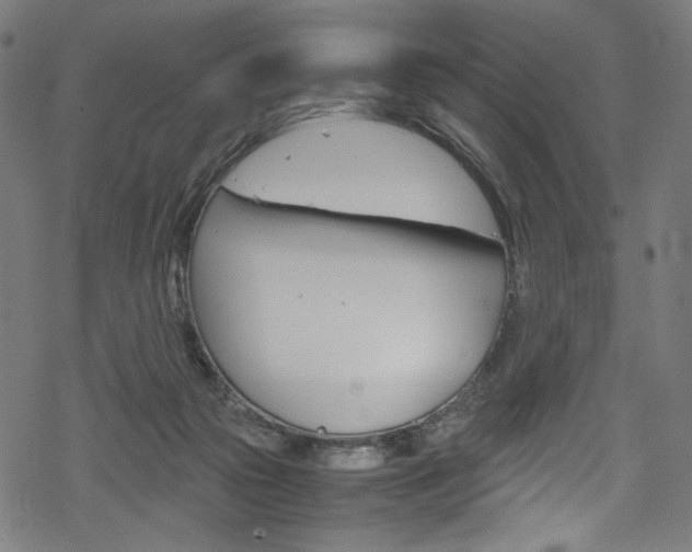 X0000069390169200605120953