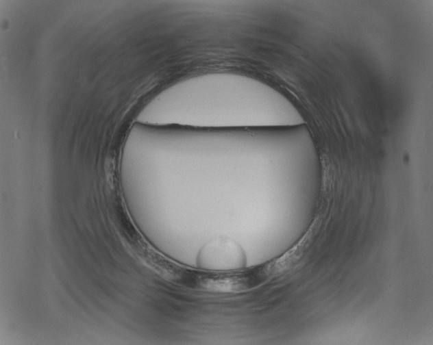 X0000069390171200605120953