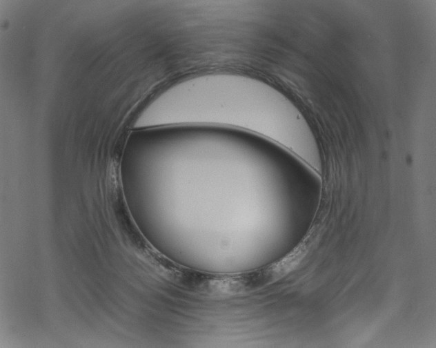 X0000069390172200605120953