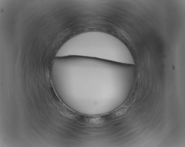 X0000069390173200605120953