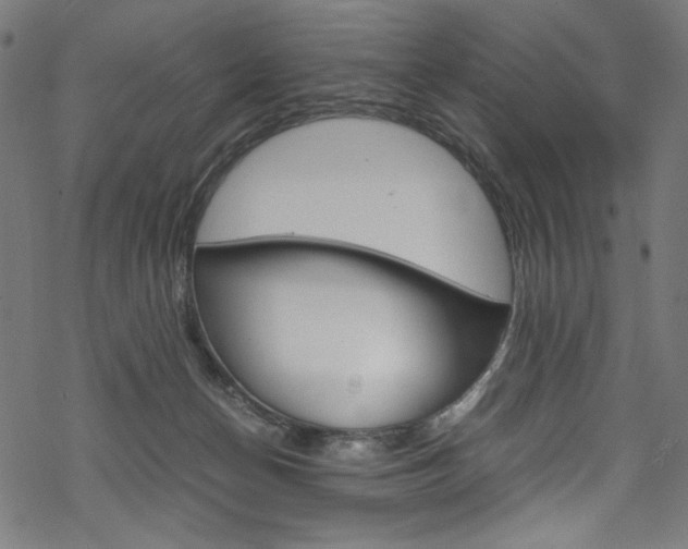 X0000069390174200605120953