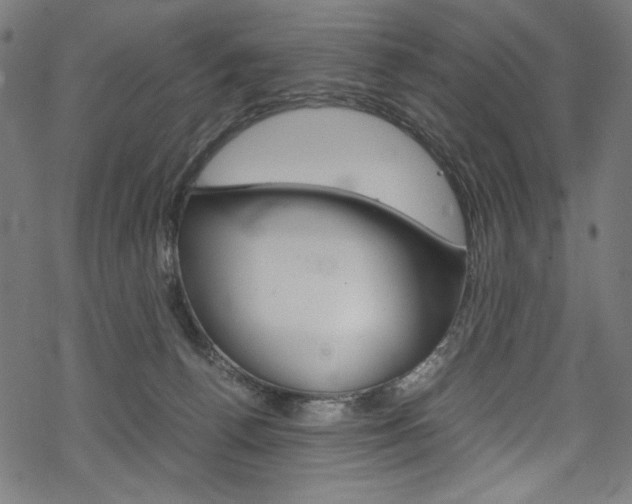 X0000069390176200605120953