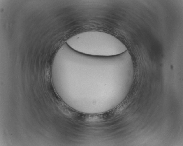 X0000069390177200605120953