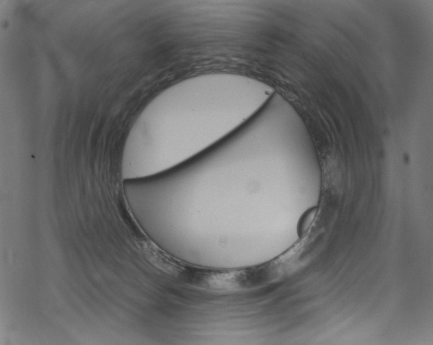 X0000069390178200605120953