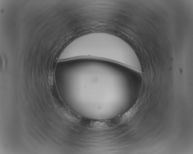 X0000069390180200605120953